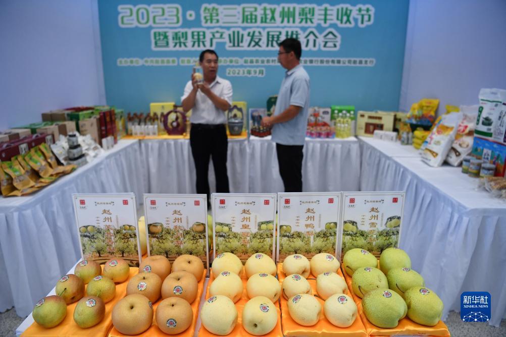 网上赌城黄金城